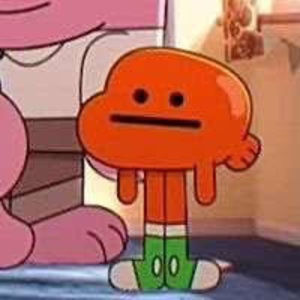 Meet your Posher, Gracie